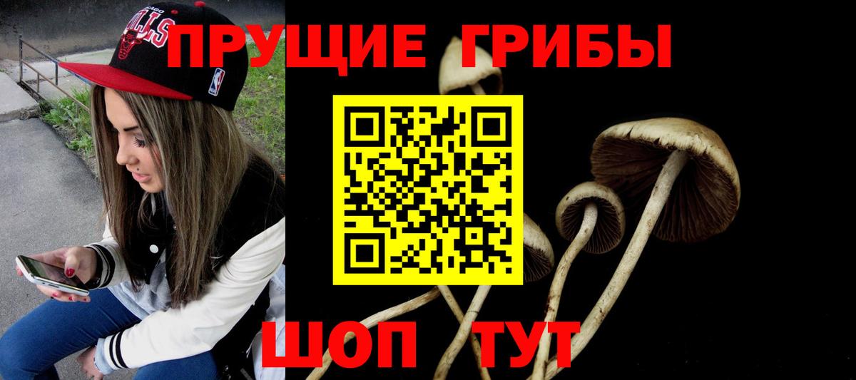Галлюциногенные грибы GOLDEN TEACHER  Галлюциногенные грибы Cubensis  Вход с VPN  Моршанск 